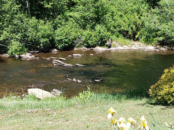 Down by the River Campground Picture 2