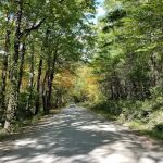 Linville Falls Campground