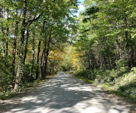 Linville Falls Campground