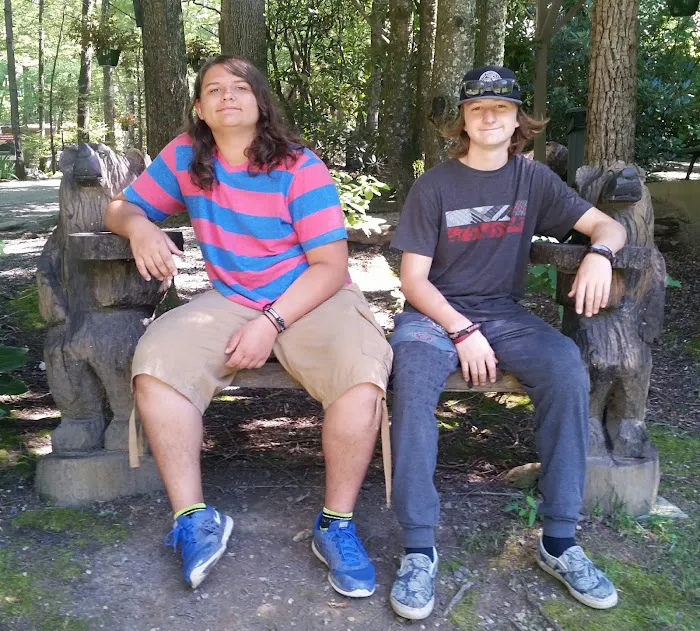 Linville Falls Campground Picture 6