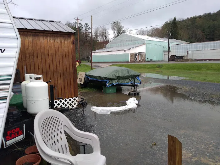 Linville River Campground Picture 2