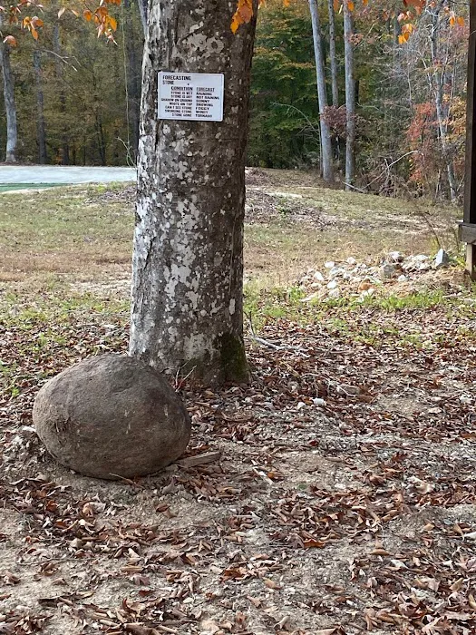 Woodland Park Campground Picture 6