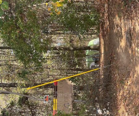 York Family Campground