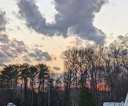 PineHaven Campground LLC