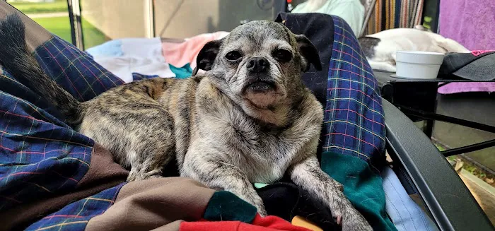 Iron City Campground Picture 8