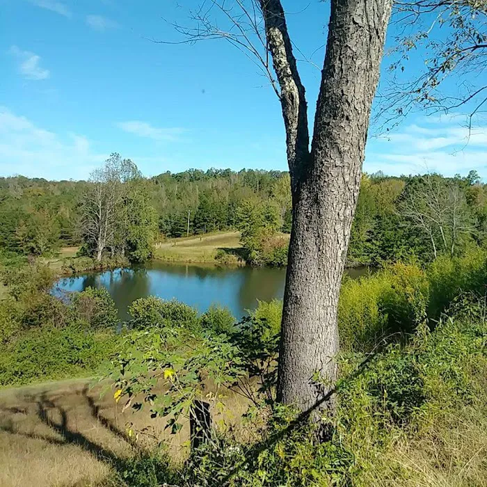 Broad River Camping & RV Park Picture 7