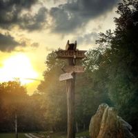 Linville Adventure Pasture ico