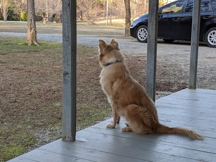 Paddy Creek Campground Picture 5