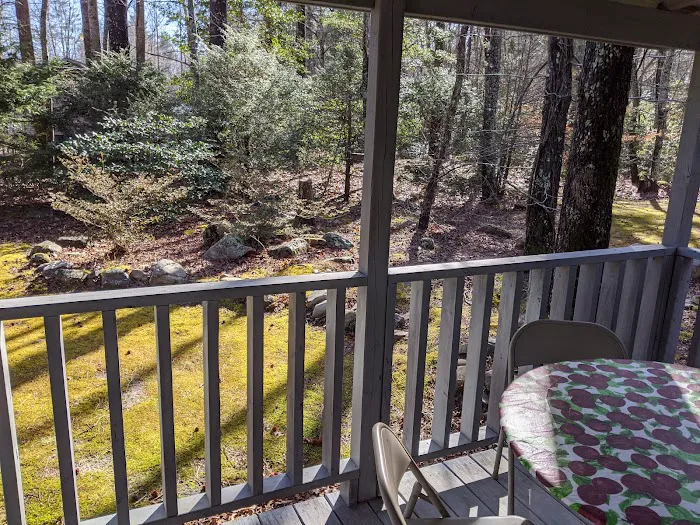 Paddy Creek Campground Picture 3