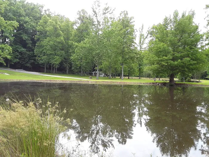 Paddy Creek Campground Picture 7