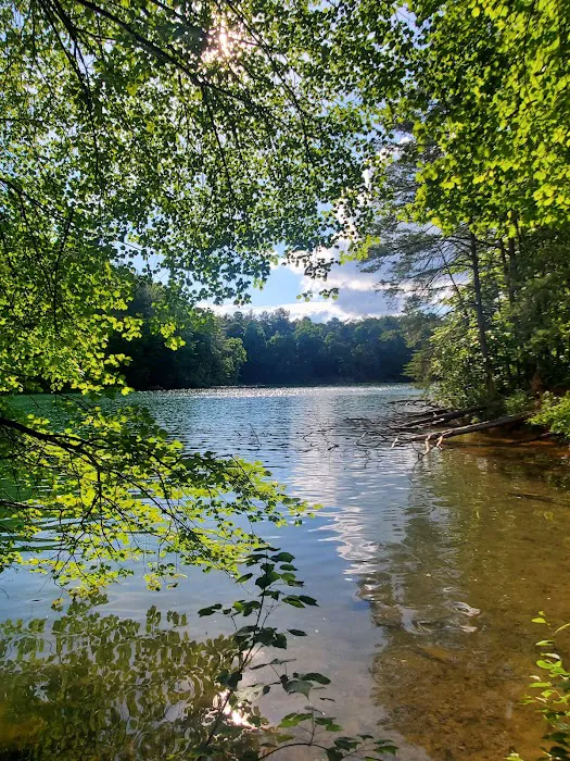 Catawba Area Walk-In Campground Picture 3