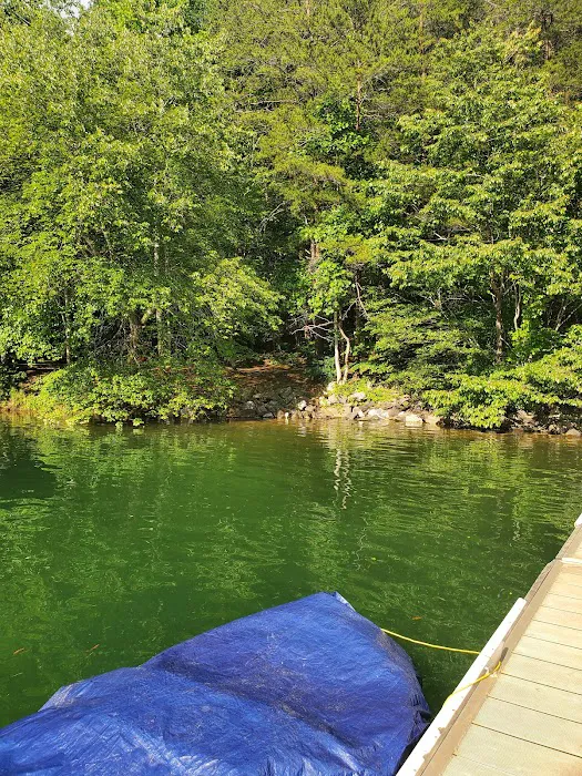 Catawba Area Walk-In Campground Picture 6