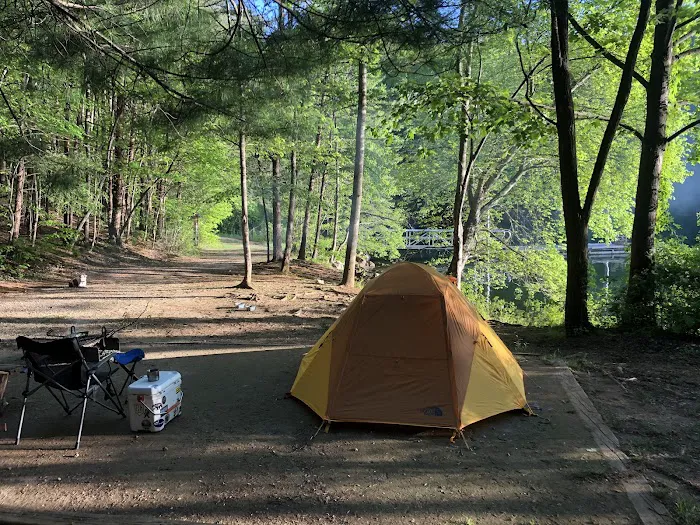 Catawba Area Walk-In Campground Picture 4