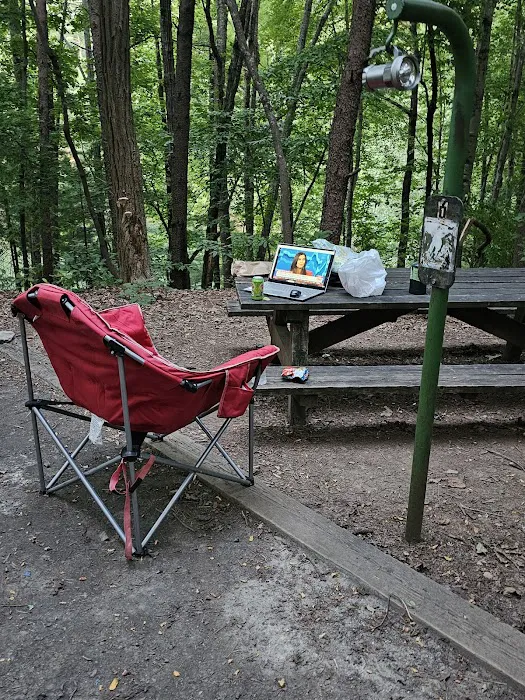 Catawba Area Walk-In Campground Picture 7