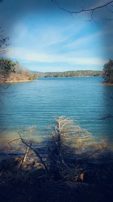 Catawba Area Walk-In Campground Picture 9