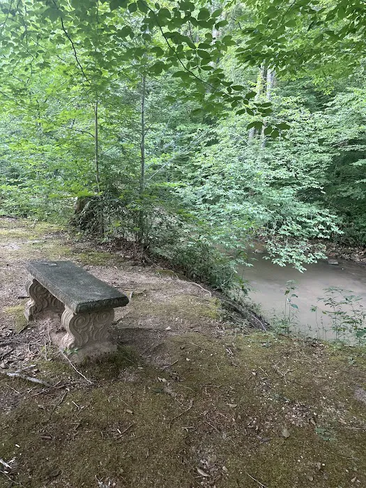 Lake James State Park Catawba River Access Picture 6