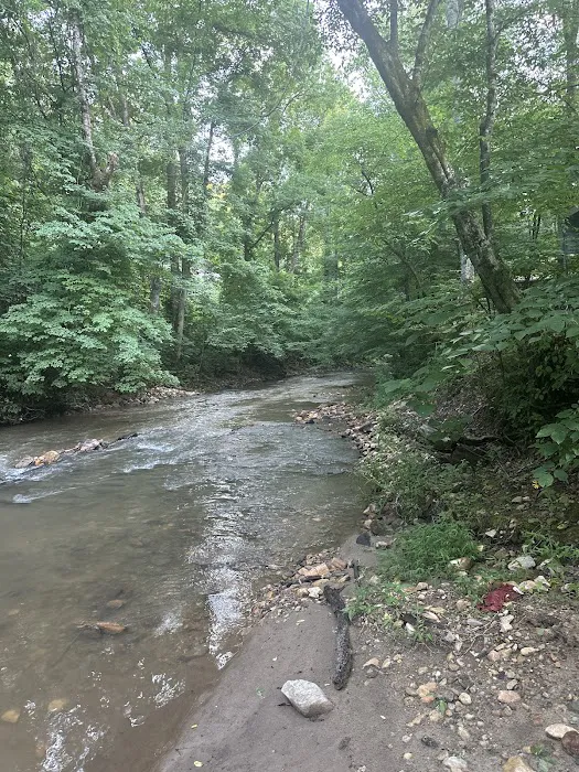 Lake James State Park Catawba River Access Picture 4
