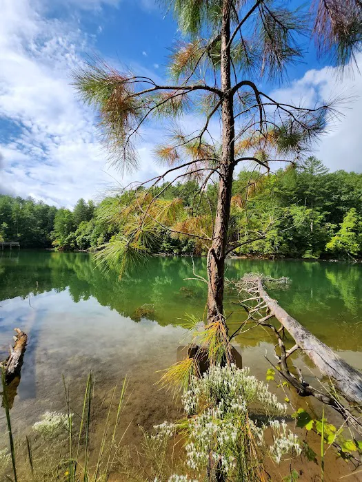 Lake James State Park Catawba River Access Picture 1