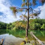 Lake James State Park Catawba River Access