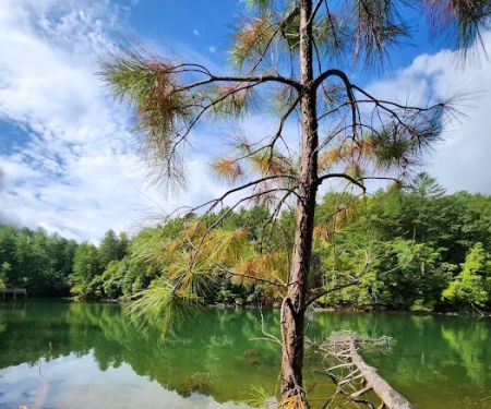 Lake James State Park Catawba River Access