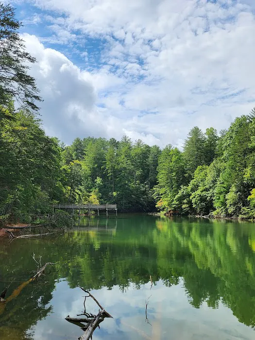 Lake James State Park Catawba River Access Picture 3