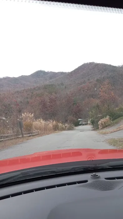 Deer Park Campground Picture 5