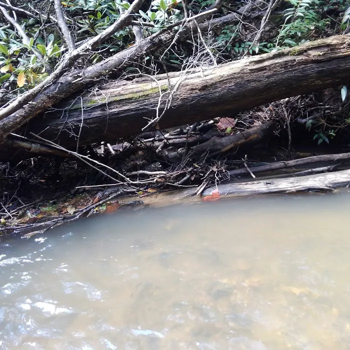 Ldma Vein Mountain, NC Picture 6