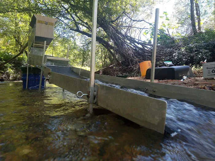 Ldma Vein Mountain, NC Picture 9