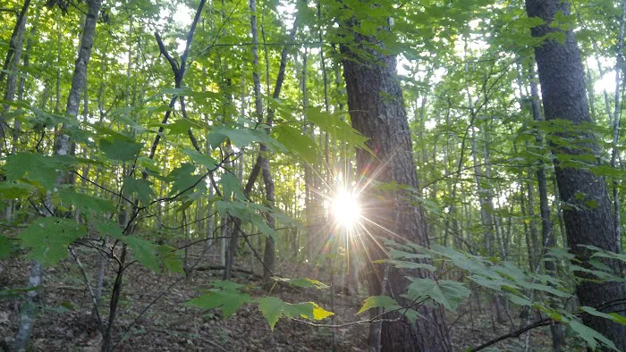 Ldma Vein Mountain, NC Picture 1