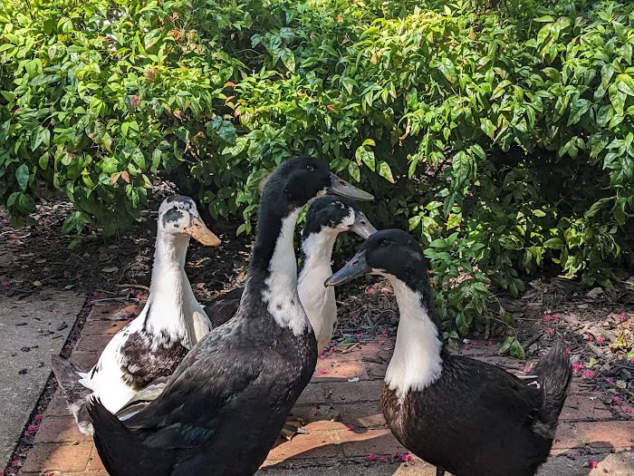 Sovereign Fireside Glampground Picture 6