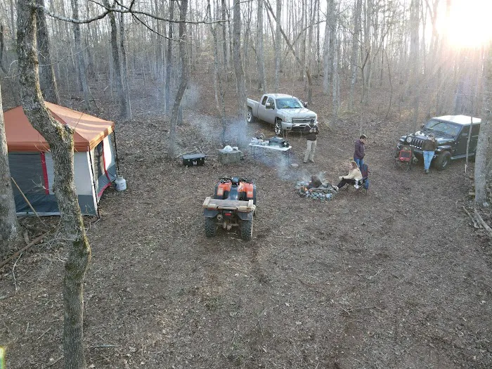 The Chandler 40 Picture 2