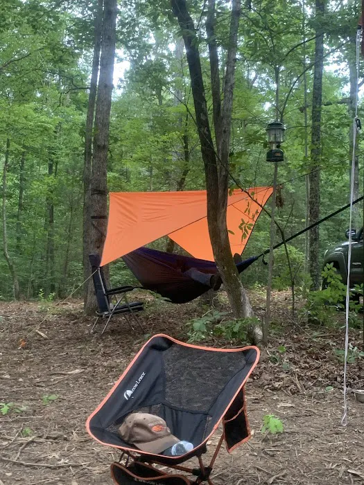 The Chandler 40 Picture 10