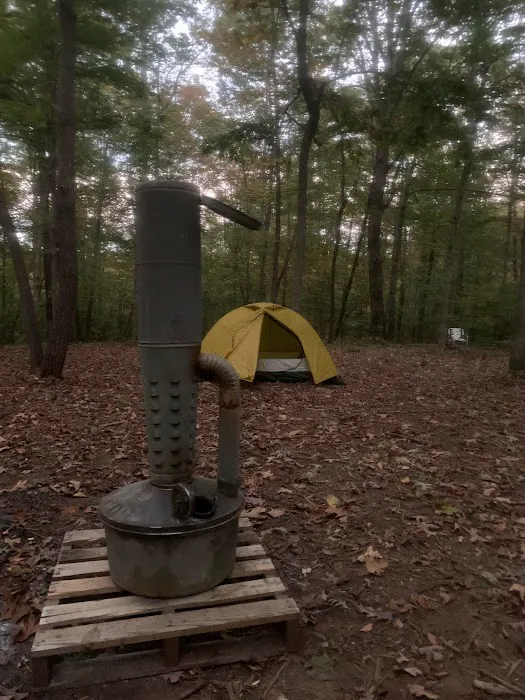 The Chandler 40 Picture 6