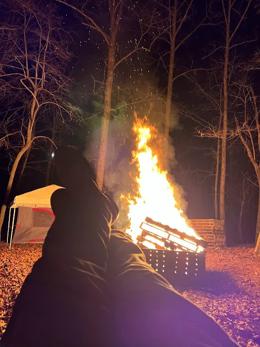 The Chandler 40 Picture 7