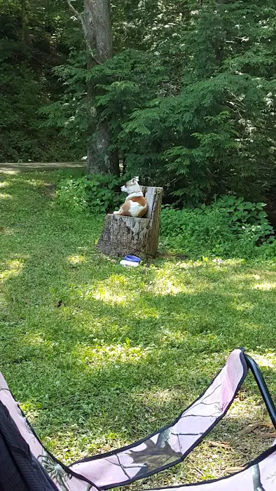 Cane Patch Campground Picture 3