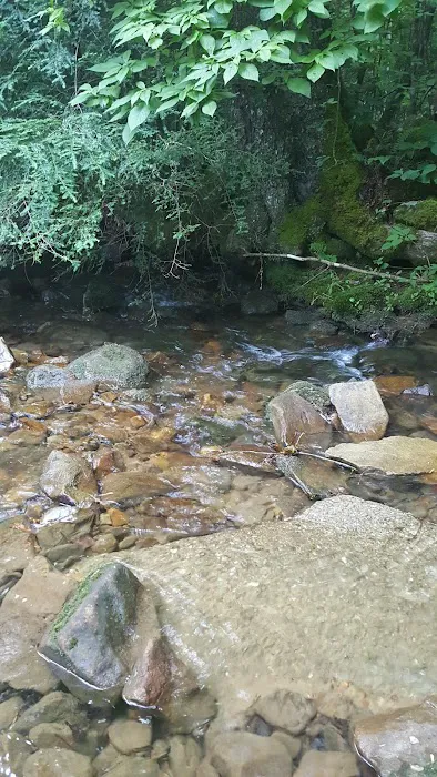 Cane Patch Campground Picture 5