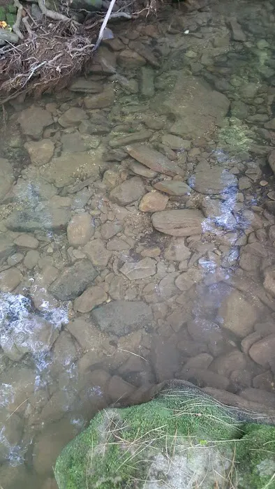 Cane Patch Campground Picture 2