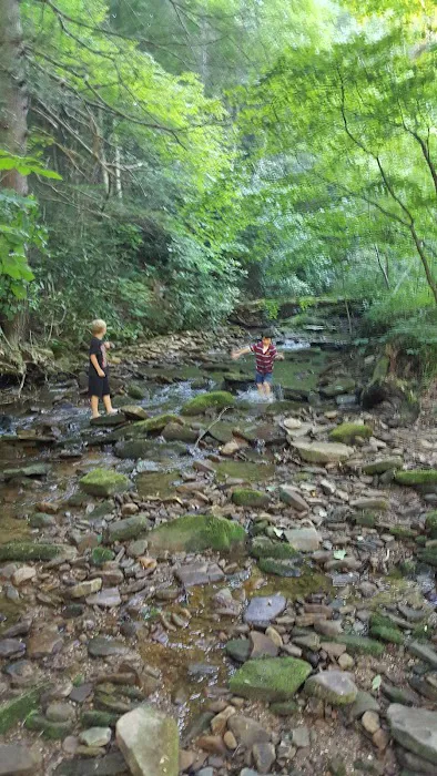 Cane Patch Campground Picture 4