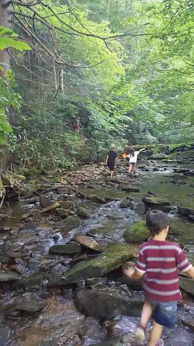 Cane Patch Campground Picture 1