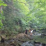 Cane Patch Campground