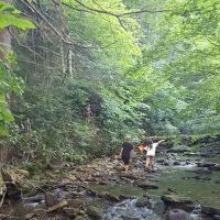 Cane Patch Campground ico