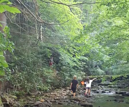 Cane Patch Campground