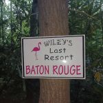 Baton Rouge (Wiley's Last Resort)