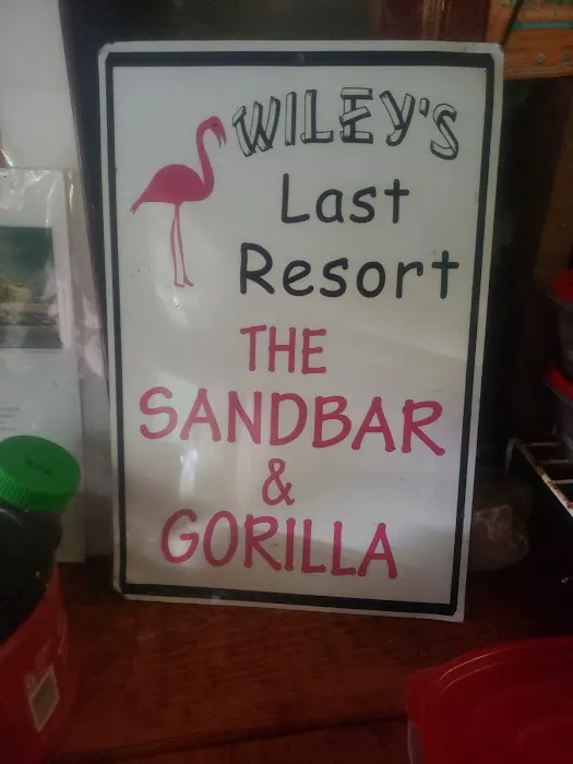 The Sandbar & Gorilla Picture 5