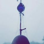 The Sandbar & Gorilla