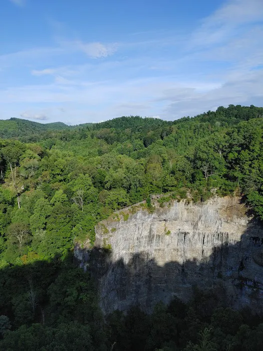 Cove View Campground Picture 10