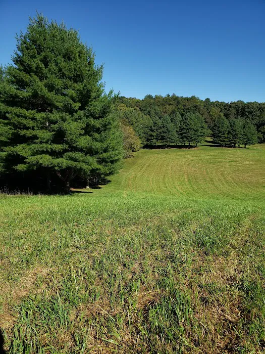 Cove View Campground Picture 1