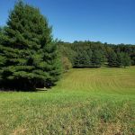 Cove View Campground