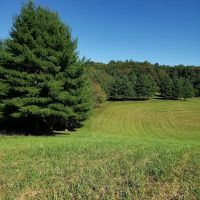 Cove View Campground ico