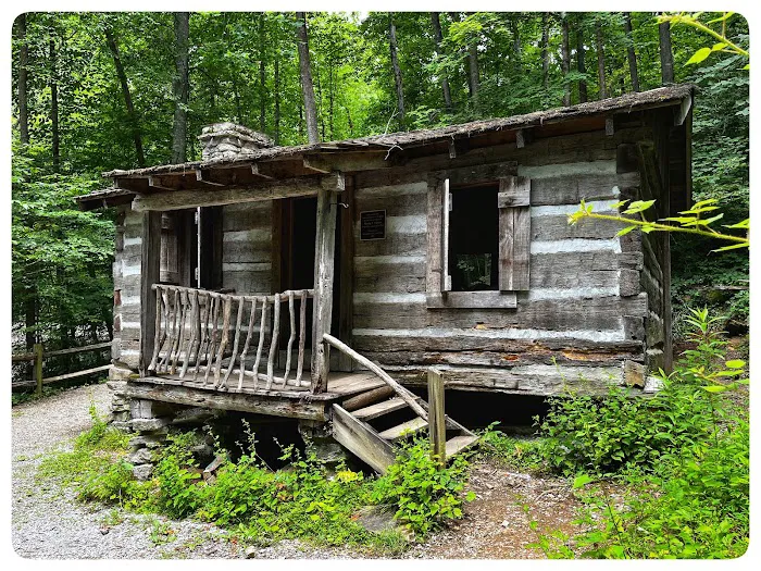 Cove View Campground Picture 2